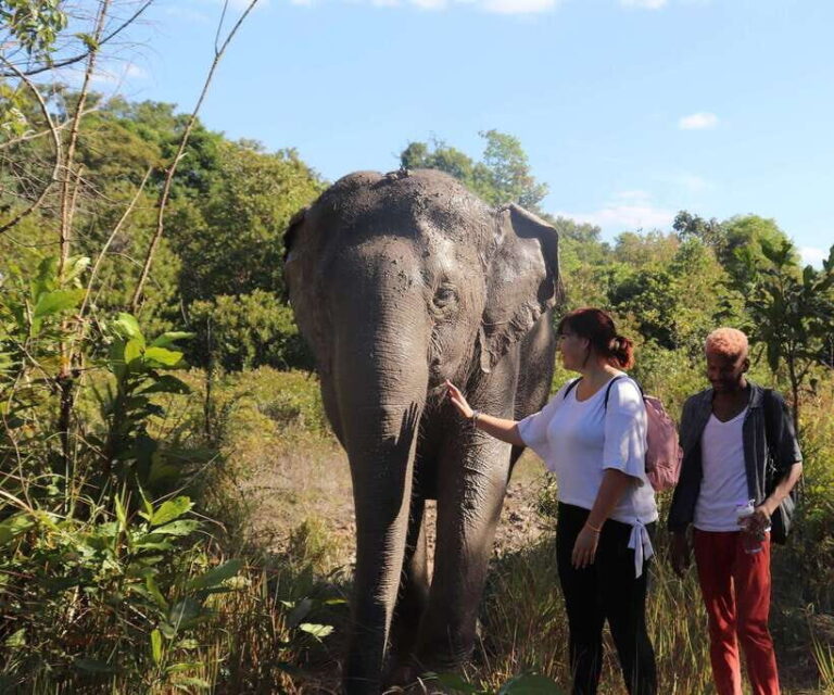 Kulen Mountain Day Trip with Picnic & Kulen Elephant Forest - Transportation & Practical Considerations