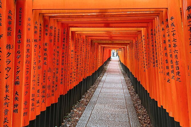 Kyoto Half Day Highlights Tour - What’s Included and What to Consider