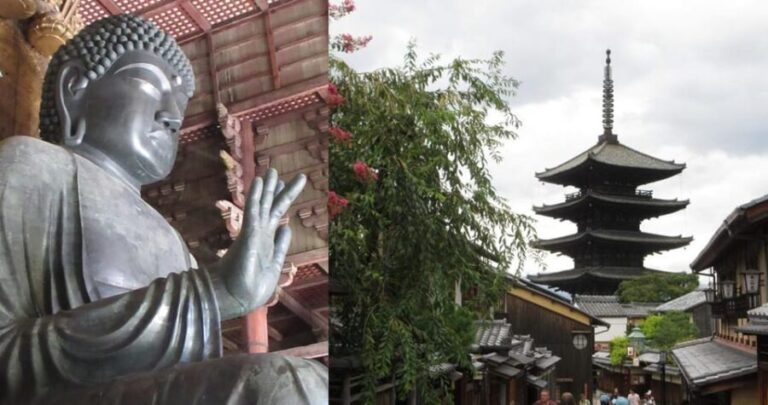 KYOTO-NARA: Giant Buddha Deer Pagoda "Geisya" (Italian, full day) - What Are the Highlights?