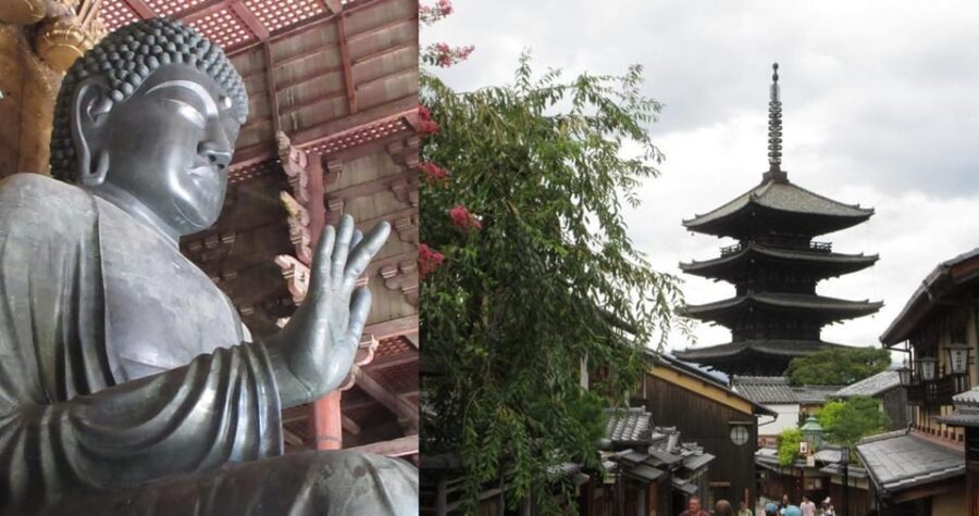 KYOTO-NARA: Giant Buddha Deer Pagoda "Geisya" (Italian, full day) - What Are the Highlights?