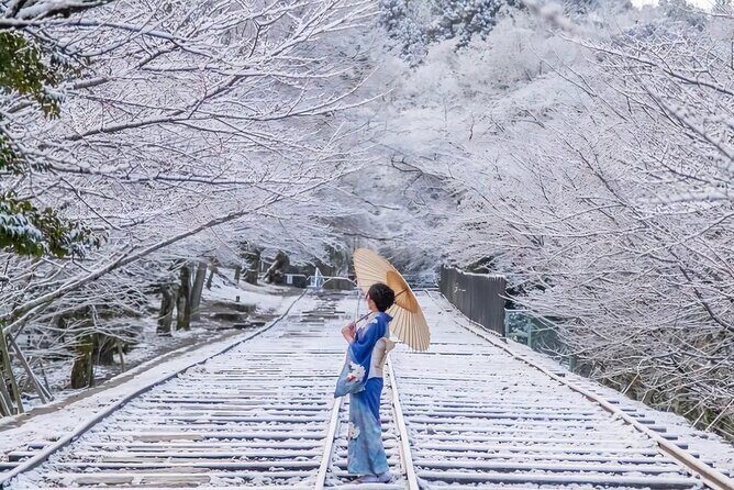 Kyoto Private Customized Day Tour with Guide - Who Will Love This Tour?