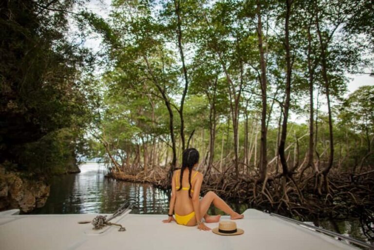 Los Haitises: Caves, Mangroves, & Rainforest Hike/Boat Tour - What Travelers Say