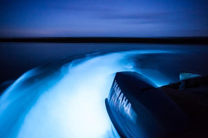 Luminous Lagoon Tour from Montego Bay - Authentic Experiences and Traveler Insights
