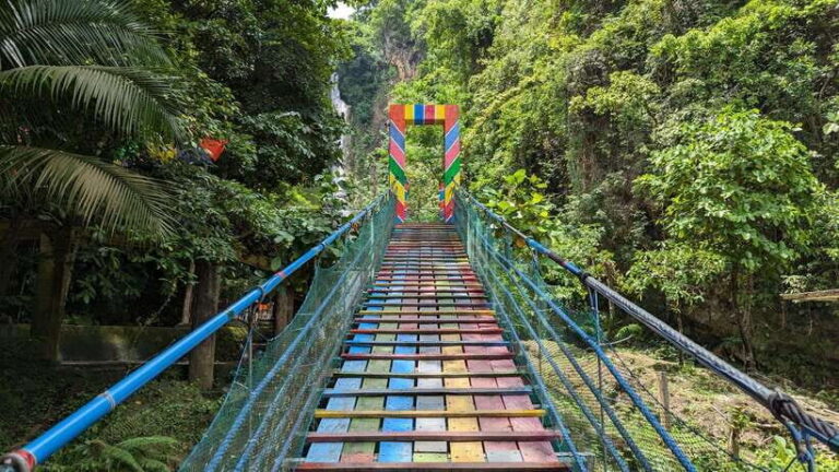 Moalboal Sardine Run, Sea Turtle & Mantayupan Falls - What the Reviews Tell Us