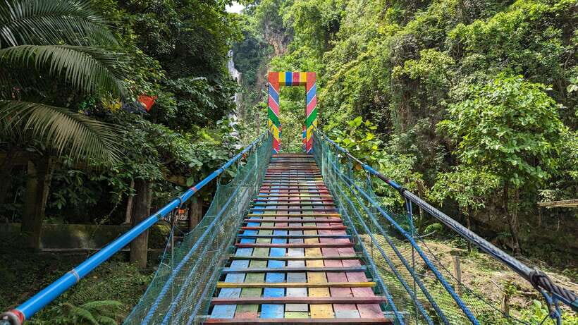 Moalboal Sardine Run, Sea Turtle & Mantayupan Falls - What the Reviews Tell Us