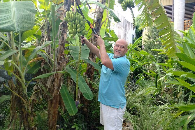 Modern Puerto Rican Cooking Class in a Historic San Germán Home - Authenticity and Personal Touch