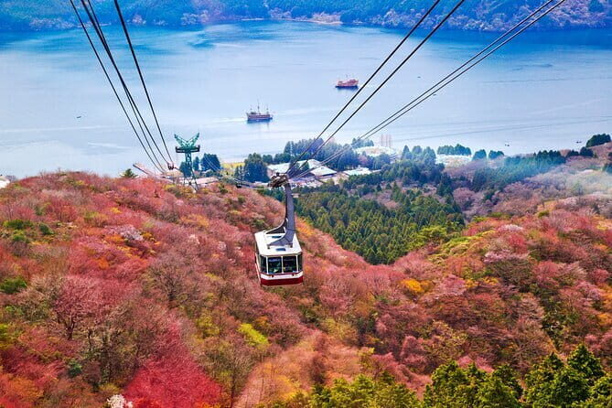 Mount Fuji and Hakone Private Day Trip by Car/Van - in English - A Deep Dive into the Itinerary