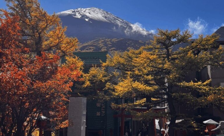 Mount Fuji Sightseeing tour with English speaking guide - In-Depth Look at the Itinerary