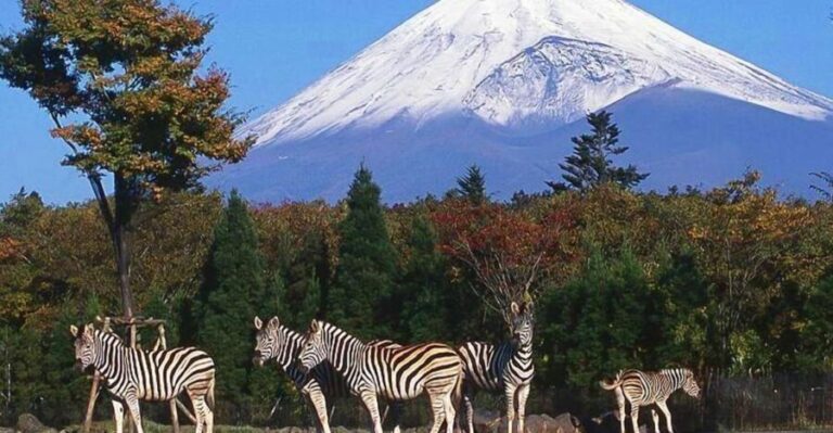 Mt Fuji : 10 hours Private Tour in Luxury Private Car - A Detailed Look at the Experience