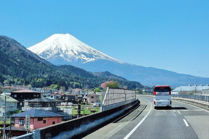 Mt. Fuji View and 2hours+ free time at Gotemba Premium Outlets - Evaluating the value: is this tour worth it?