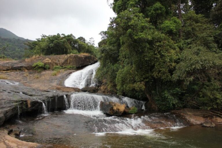 Munnar: Tea Garden and Elephant Safari Trip by 4x4 - Who Will Love This Tour?