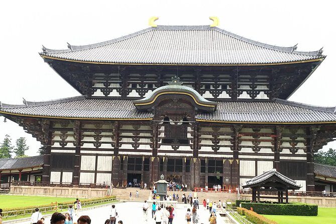 Nara Todaiji Lazy Bird Walking Tour - Authentic Reviews and Insights