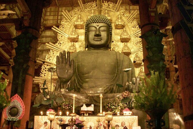 Nara World Heritage PRIVATE TOUR - What to Expect and Practicalities