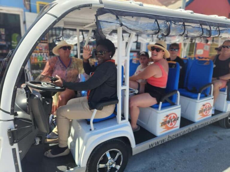Nassau: Electric Bus Tour with Food & Drink Samples - What Makes This Tour Stand Out?