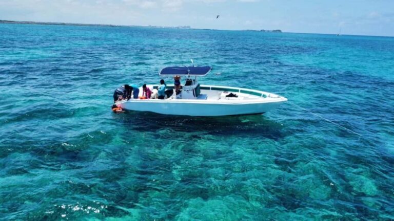 Nassau: Swimming Pigs Private Boat Tour - Up to 7 Persons - Discovering Nassau’s Marine and Island Treasures