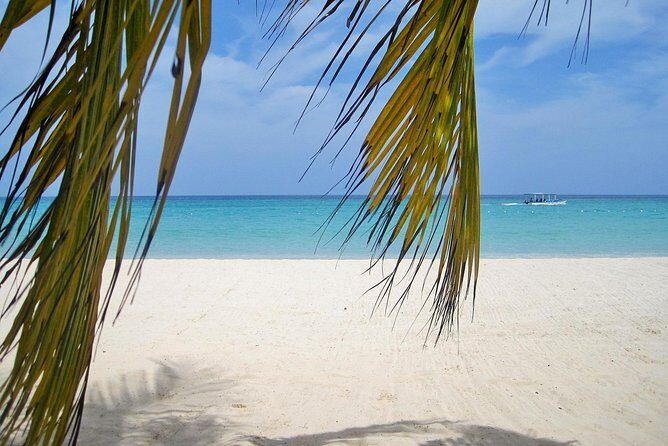 Negril Beach & Ricks Cafe from Montego Bay - Transportation and Group Size