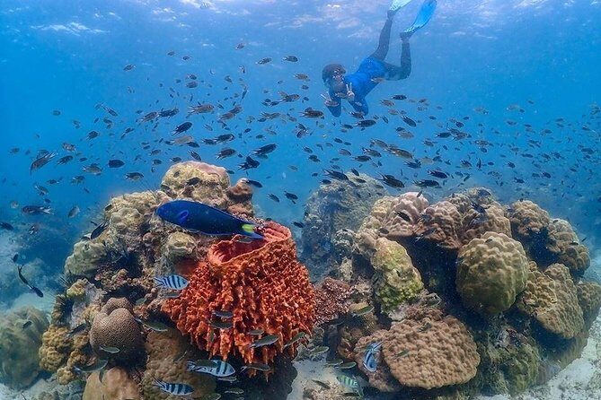 Nemo Island Experience with Drone Photos and Lunch - The Lunch and Relaxation