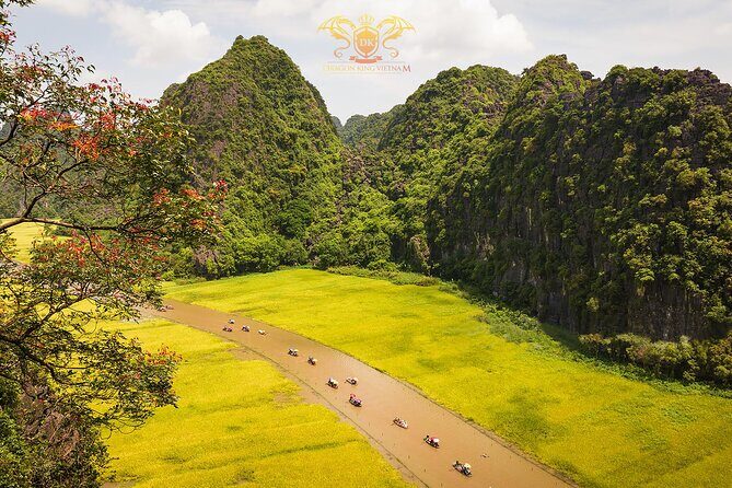 Ninh Binh Highlights Tour - Hoa Lu, Trang An And Mua Cave - What Makes This Tour Stand Out?