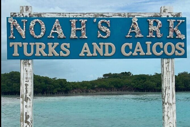 Noahs Ark Catamaran Trip - The Experience: Whats Truly Memorable
