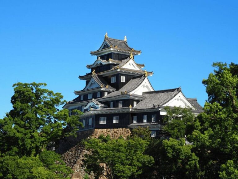 Okayama Castle Admission Ticket - Shopping and Sweets at the Castle Grounds