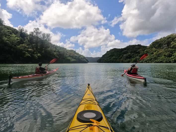 Okinawa: Kayak Mangroves & Ocean Native-English Private Tour - An In-Depth Look at the Tour Experience