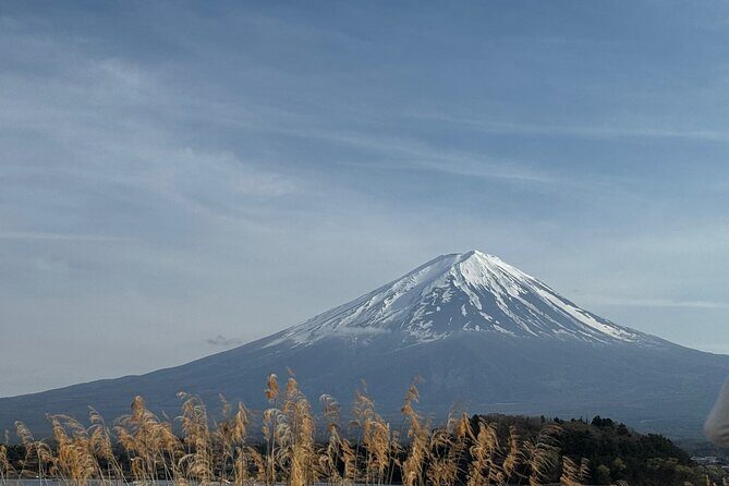 One day mountain Fuji & Hakone tour with English hindi bilingual - Practical Details and Tips