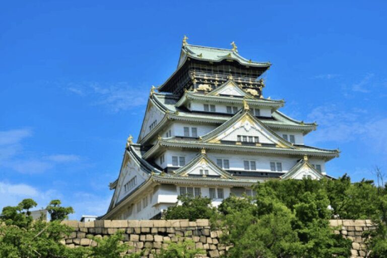 Osaka Private Custom Tour with Local Guide - What to Expect on Your Tour