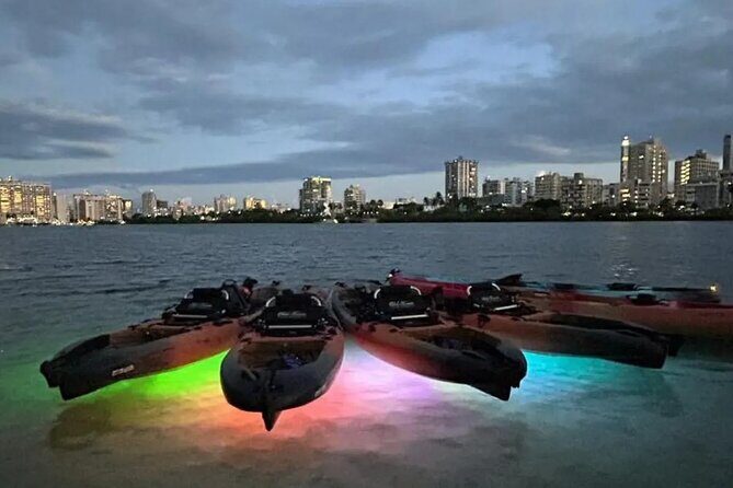 Paddle & Glow LED Kayaking - The Experience From the Guests’ Perspective