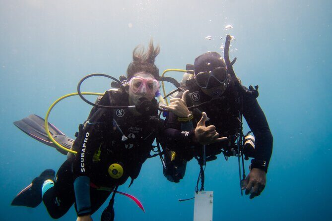 PADI Open water Course in Lembongan - Get certified & dive anywhere in the world - The Sum Up