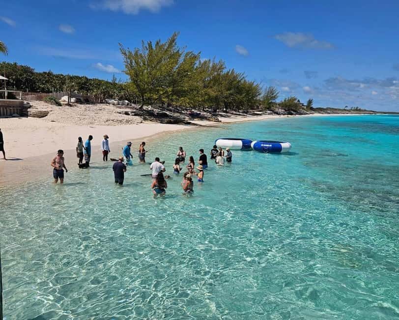 Paradise Found In Hog Haven: Ultimate Beach Escape - What the Reviews Reveal
