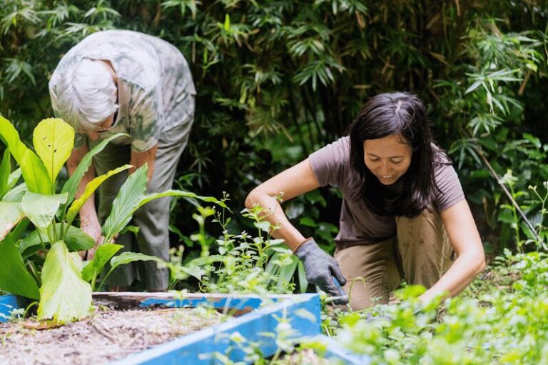 Penang: Tropical Spice Garden Entrance Ticket & Guided Tours - What to Expect at the Tropical Spice Garden