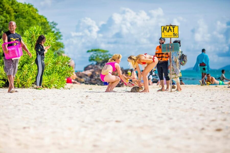 Phuket: Khai Islands Premium Speedboat Half Day Adventure - The Itinerary Breakdown