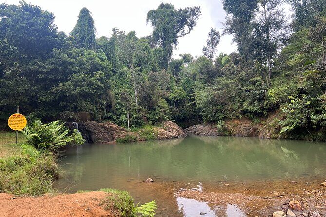 Pork Highway & Cayey Cultural & Gastronomical Experience - The Itinerary Breakdown