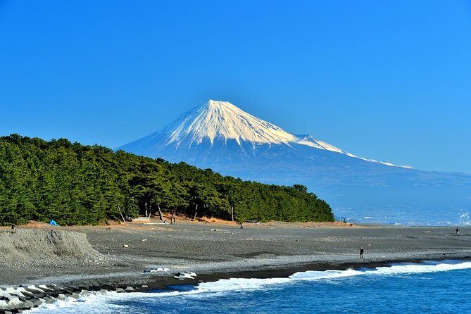Port Pick-Up: Shizuoka Tour with Licensed Guide and Vehicle - The Practicalities: What It Means for You