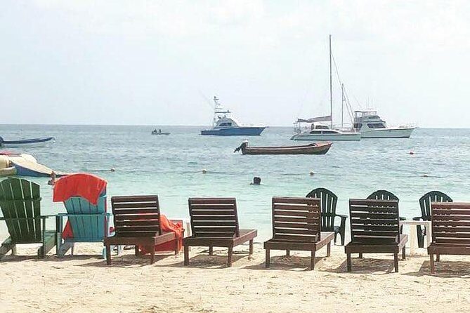 PREMIUM - Negril Highlights Tour from Negril - Food & Drinks Included - Who Is This Tour Best For?