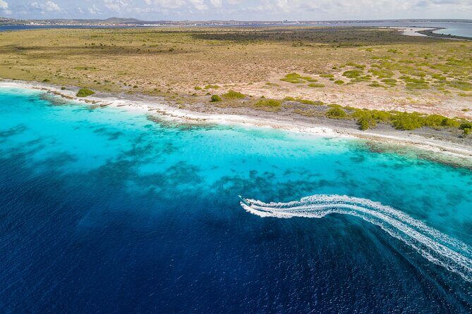 Private 2 hour boat excursion along the coast - What the Reviews Tell Us