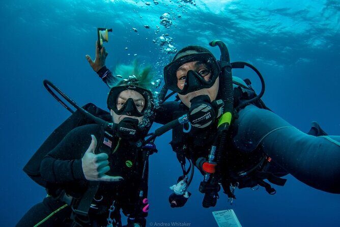 Private 2-Tank Dive with PADI Instructor for Certified Divers - The Practical Side: Logistics and What You Should Know