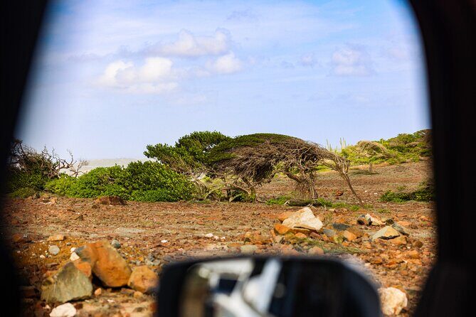 Private and Customized Aruba 4X4 Jeep Adventure - The Value of a Private Tour