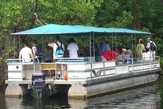 Private Appleton YS Falls and Black River Tour from Montego Bay - Insights from Reviewers