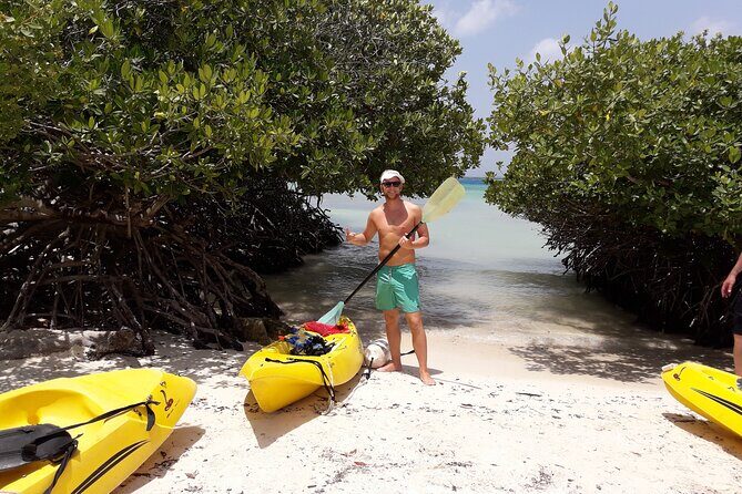 Private Aruba Kayak & Snorkeling Tour + Transortation - Practical Details and Value