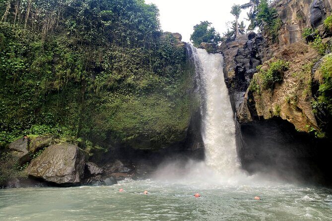 Private Bali Custom Tour Full Day with English-Speaking Driver - Why Choose This Tour?