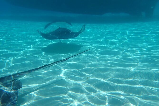 Private Boat Tour in Cayman Islands - The Sum Up: Who Will Love This Tour?