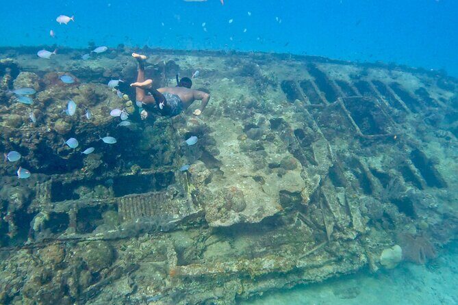 Private catamaran sail & snorkel - Why This Tour Works Well
