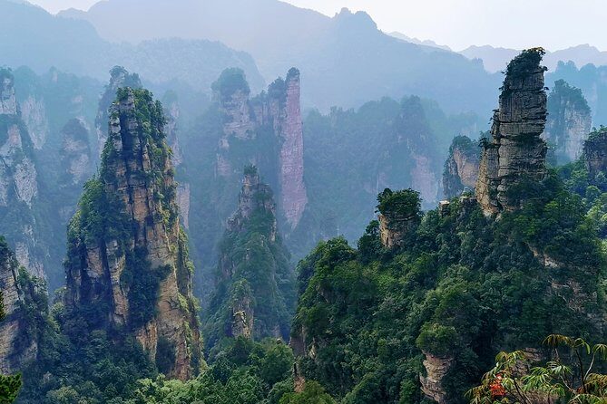 Private Day Tour: Discover Zhangjiajie National Forest Park-Avatar Mountain - Authentic Experiences and What Travelers Love