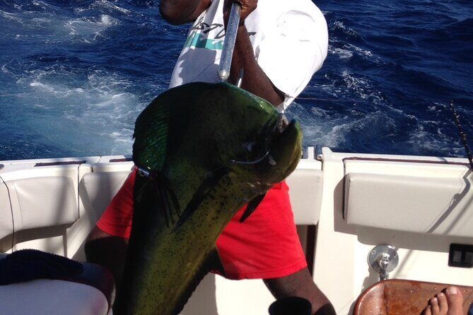 Private Fishing & Snorkel Charters in St Kitts and Nevis - What the Reviews Say