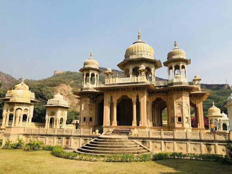 Private Full-Day Jaipur Guided Tour with Monkey Temple - What You Can Expect from the Tour
