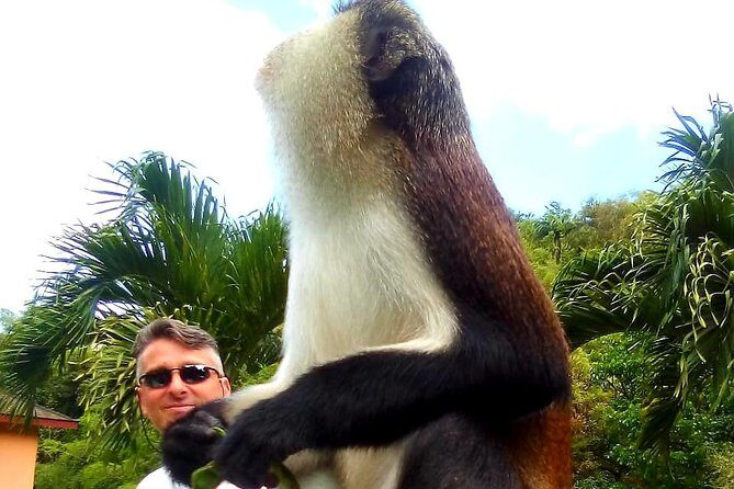 Private Fun Tour in Grenada - Who Will Love This Tour?