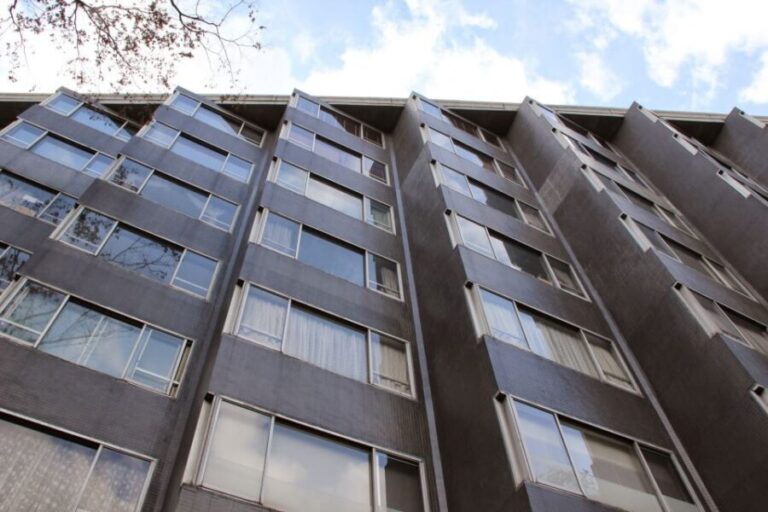 Private Harajuku Omotesando Architecture Tour - What to Expect from the Tour