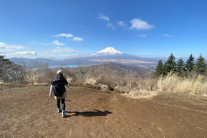 Private Hiking Tour to View Mt. Fuji - Authentic Reviews and What They Tell Us
