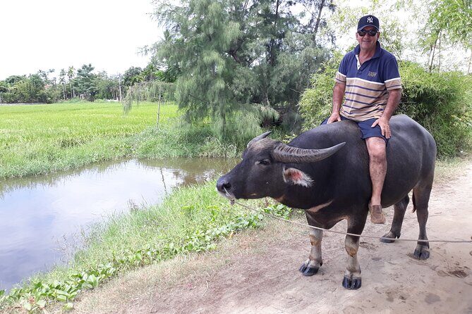 Private Hoi An Countryside: Biking, Basket boat, buffalo, foods - Authentic Experiences and What Travelers Say